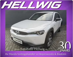 Mazda MX-30 e-SKYACTIV EV Advantage Industrial Vintage Matrix-