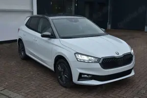 Skoda Fabia 1.0 TSI Sel.*LED*Licht+Sicht*Winter+*Cam