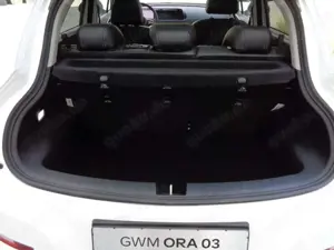 GWM ORA 03 400 PRO+ Bild 5