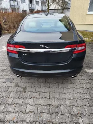 Jaguar XF 3.0 V6 Diesel Premium Luxury Bild 3