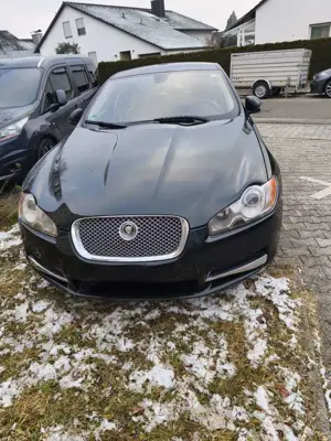 Jaguar XF 3.0 V6 Diesel Premium Luxury Bild 2