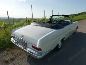 Mercedes-Benz 220 Mercedes-Benz 220 SEb Cabrio 1962 Bild 5