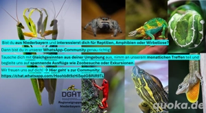 Einladung zur WhatsApp-Community Terraristik Niederbayern