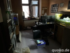 Großer Hausflohmarkt, 09.01.2026