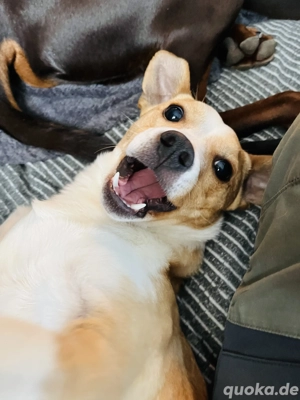 Kleiner Entdecker sucht 