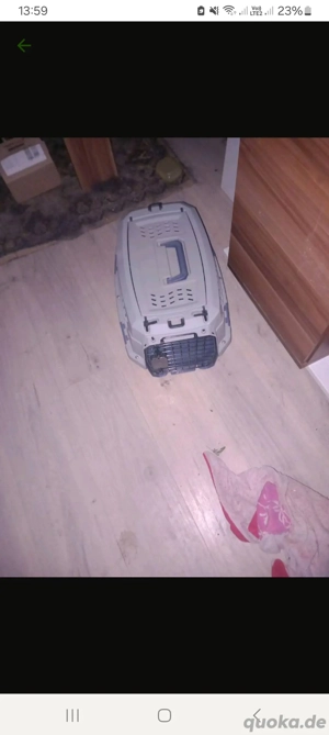 Katzen transport box 