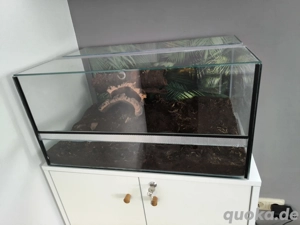 Terrarium 60x30x40