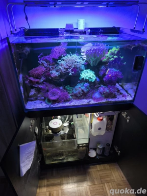 Meerwasseraquarium komplett 