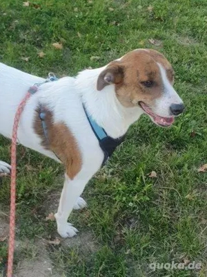 Bezaubernde Ellie - sucht ihr großes Glück