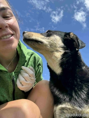 Amelia - herzlos ausgesetzt mit 6 Welpen Bild 7