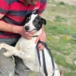 Anhängliche Delia - ein lieber Schatz