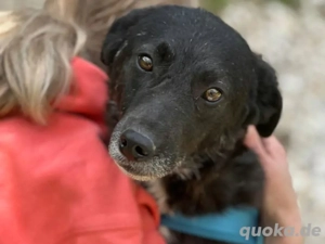 Bärchen möchte ankommen 