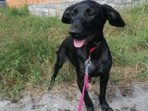 Kimani sucht ihr Glück 