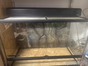 NEU! Exo Terra Terrarium 90x45x60 inkl. Rückwand und Exo Terra Beleuchtung