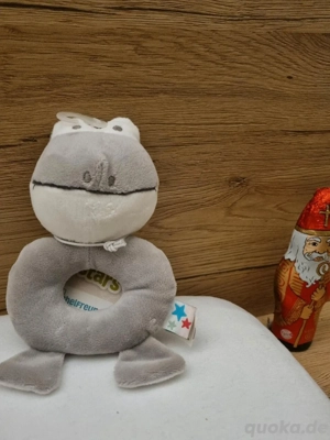 Fashy little stars Greifring Sanfter Kuschelfreund Kuscheltier Greifling Greiflinge Frosch