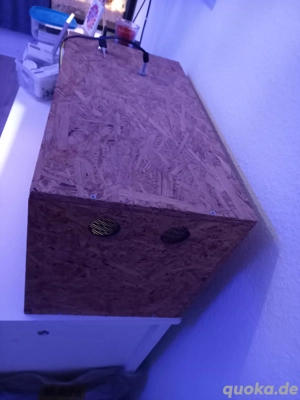 Komplettes Terrarium abzugeben 