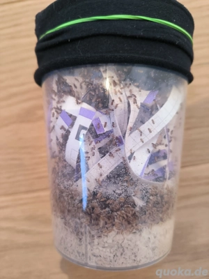 Drosophila Melanogaster Small