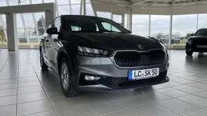 Skoda Fabia 130 Jahre MPI APP-Navigation Bild 3