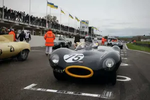 Jaguar D-Type 1955 Specification