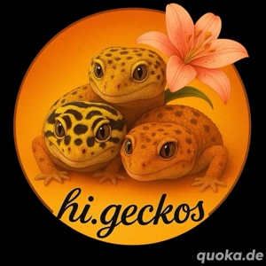 Leopardgeckos 2026
