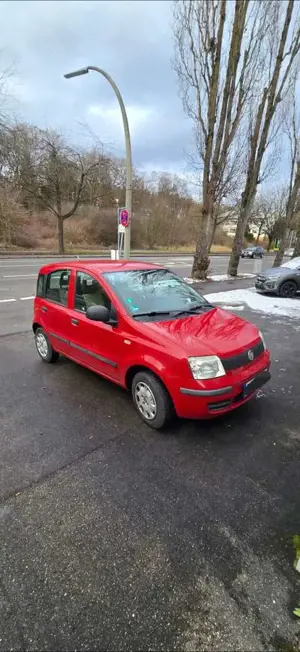 Fiat Panda Panda 1.2 Dynamic Bild 5