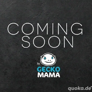 Leopardgecko Mandarin Tangerine (W)