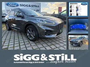 Ford Kuga 2.5 PHEV ST-Line X LED*BO*NAV*CAM*SHZ*EL-KLAPPE