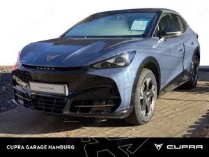 CUPRA Tavascan Endurance ACC CarPlay Kessy Kamera Navi