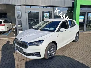 Skoda Fabia 1.0l TSI Tour 95 PS FSH SHZ RFK Berganfahr