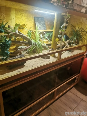 Holz Terrarium 150 x 60 x 60