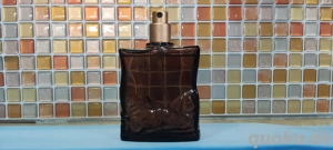 Hugo Boss Elements Eau de Toilette (100 ml)