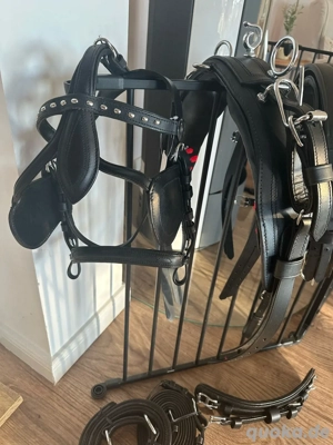 Fahrgeschirr Mini Shetty neu 