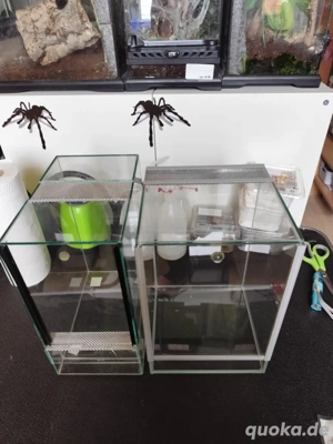 Terrarium 15 x 25 x30 Doppellüftung Kaminlüftung 