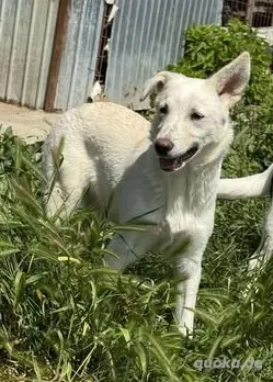 Hübsche Claire - sucht Geduld und Liebe Bild 8