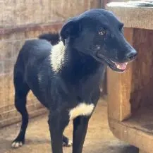 Jannik W 44 cm   sehnt sich nach Zuneigung