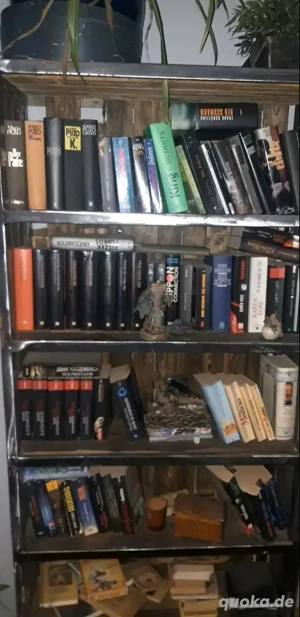 Diverse Bücher ..., Mario Puzo, Katzenbach, Schätzing, ....