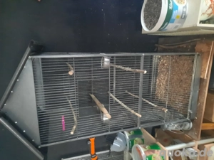 Verkaufe Vogelkäfig Groß