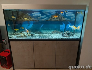 Aquarium Schrank 150x140x50cm inklusive Fische 