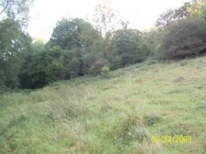 Höringen - versch.Grundstücke  -verschiedene Verw.- Streuostanlage bzw.Tierhaltung -Trainingsplatz Bild 3