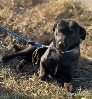 Sensible Hope - möchte endlich ankommen - im eigenen Zuhause