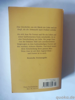 Das Gesicht der Liebe - Susan Vreeland - Taschenbuch Bild 3