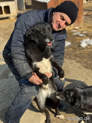 Aktive Sorina - absolut kontaktfreudig zu Menschen