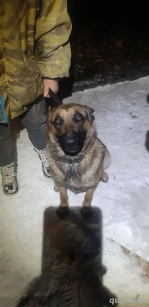 Jack   treu wartet, endlich anzukommen