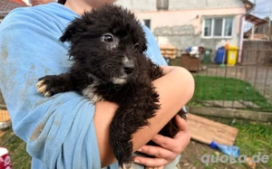 Kleine Göttin Sunna will Herzen erobern