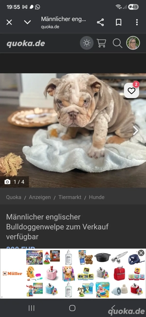 Und wieder eine Bettugsmasche.....