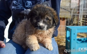 Athene wartet auf deine Nachricht