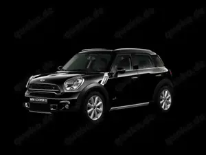 MINI Cooper S Countryman ALL4 PanoSD Sportsitz BiXenon Leder