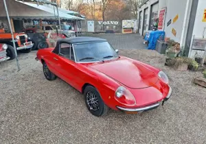 Alfa Romeo Junior Spider Junior 1.3 H-Kennzeichen Bild 3