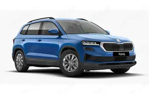Skoda Karoq Skoda Karoq TopSelection 116PS Schaltgetr. Kamera