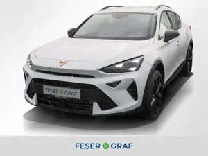 CUPRA Formentor 2.0 TSI VZ DSG 360° AHK Matrix Sennh.